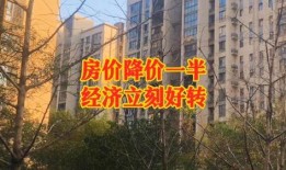 房产爆料知识大全最新,揭秘最新房产市场动态与投资策略
