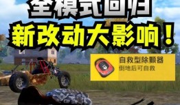 和平经验体验服最新爆料,揭秘全新战术与和平新篇章