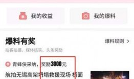 在哪里看爆料头条内容最新,头条内容生成追踪