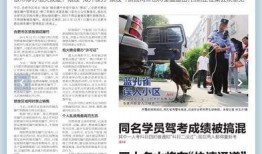 今日新闻最新爆料视频,今日新闻最新爆料视频深度解析