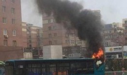 大连公交最新爆料,揭秘线路调整与票价变动详情