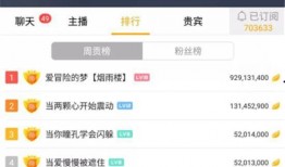 黑喵最新爆料网站在线观看,揭秘网站在线观看全攻略