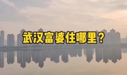 浙江楼市爆料网最新动态,揭秘房价走势与政策动向
